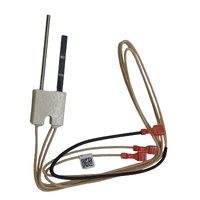 H.S.I Igniter (Si N) Flame Probe