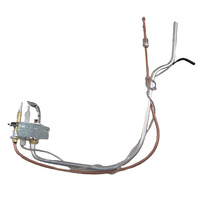 PILOT ASSY TS LPG SHR S16 #X
