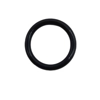 O-RING P-16 EPT OD AVANTI/WATERSTAR