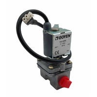 VALVE SOLENOID 10QLS/3255 531620 GAS