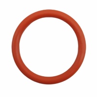 O'RING 25MM DIA