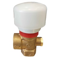 Bidirectional Pressure Balancing Valve