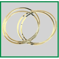 2 X SIMPSON MAXIDRY 456 CLOTHES DRYER FAN BELT 39D456S*12 39D456S*13