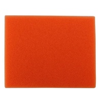 Electrolux Vacuum Cleaner Orange Exhaust Filter - 1184283032
