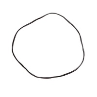 Fisher & Paykel BI602 Oven Door Seal Gasket - 541684