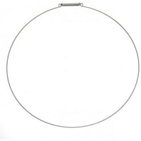 LG Washing Machine Door Seal Gasket Clamp with Spring (Front) - 4861EN3004A