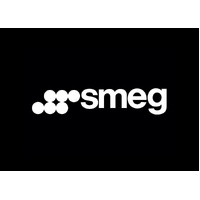 SMEG 5 FIRES IGNITOR - 810020139